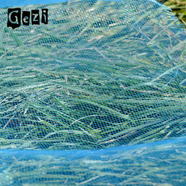 Китай сетка насекомого 0,8 * 0.8мм ловя сетью синь на ИСО 9001 сопротивления жары сарая середины поставщик