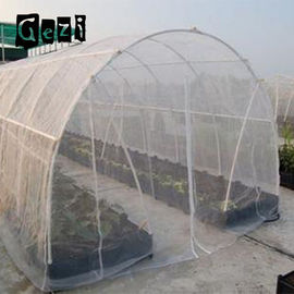Китай плетение сетки насекомого сопротивления жары 130гсм для преграждать свет поставщик