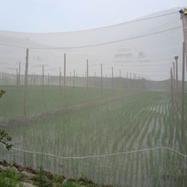 Китай Сетка 100% насекомого ХДПЭ 40 сеток ловя сетью не Токсик для борьбы болезнями поставщик