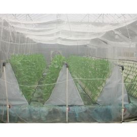 Китай Простая сплетя сетка насекомого ловя сетью белизну 0,6 * 0.6мм непахучую для небольшого сарая поставщик