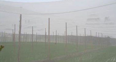 Китай Насекомое высокой влажности белое анти- ловя сетью ИСО 9001 100 метров для овоща поставщик