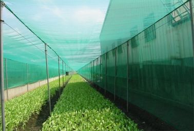 Китай Подгонянное плетение сетки насекомого в саженце - пористости процесса повышения 48% поставщик