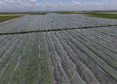 Китай Плетение сетки насекомого прочного ХДПЭ пластиковое для защиты поврежденной урожаем поставщик