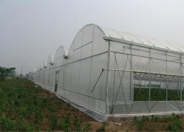 Китай Более большая сетка насекомого ловя сетью аграрный крен материала заволакивания 100-150м/ поставщик