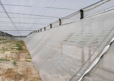 Китай Экран мелкосеточный, подгонянное плетение сетки от комаров моноволокна экрана мухы поставщик