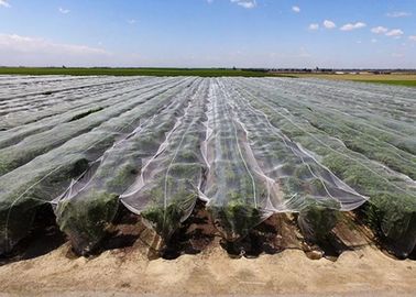 Китай Высокотемпературная душная сетка насекомого сарая ловя сетью значение тени Дурабле 29% поставщик