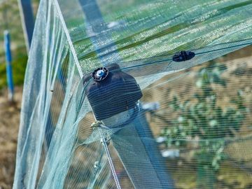 Китай Плетение 100% сетки насекомого ХДПЭ 4кс50м для питомника парника/аграрное поставщик