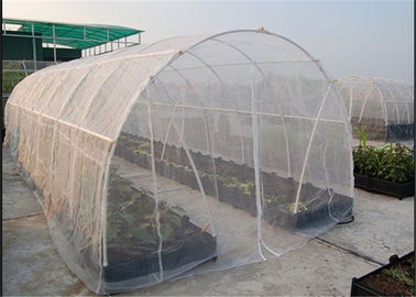 Китай Высокая ширина сетки 3м сети 30 окна насекомого эффективности 80гсм облегченная поставщик