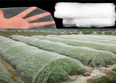 Китай Сетка насекомого Хдпе материальная ловя сетью белый цвет для молодых Вегетабле урожаев поставщик