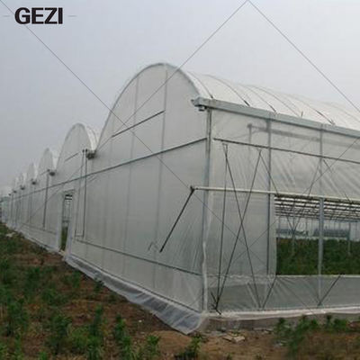 Китай Сеть предохранения от насекомого Gezi мелкосеточная для сада, парника, заводов, плода, цветков, урожаев, средства от насекомых поставщик