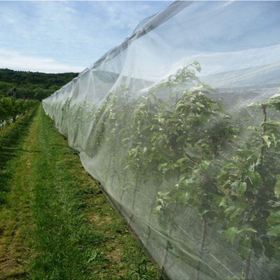 Китай Оклик УЛЬТРАФИОЛЕТОВОГО устойчивого плетения HDPE анти- для земледелия и Gardenning поставщик