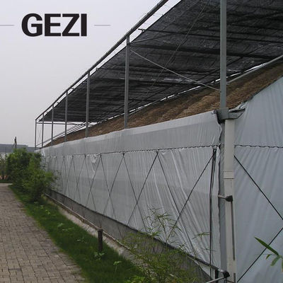 Китай Новый дом зеленого цвета Blcak Begie материала HDPE затеняет чистые 70 овощей для изготовления сети парника поставщик