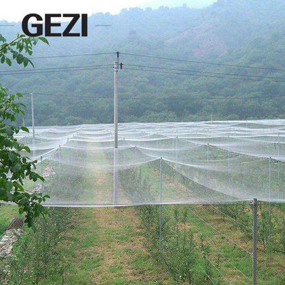Китай 32 сети сада сети насекомого сетки анти-, барьеры бича для защиты плодов заводов сада от бичей птицы, завода защитить поставщик