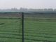 250 ХДПЭ насекомого метров плетения 100% сетки для Вегетабле парника аграрного поставщик