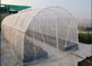 Высокая ширина сетки 3м сети 30 окна насекомого эффективности 80гсм облегченная поставщик