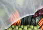 Сетка насекомого отверстия сетки 1,35 кс 1,35 Мм пластиковая для Вегетабле предохранения от плода поставщик