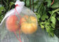 Плод Дравстинг вкладчика плода ПЭ защищает насекомое сумок цветок сумки плетения сетки защищает поставщик