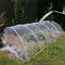 Предохранения от насекомого сетки от комаров парника пластмасса HDPE сети насекомого чистого чистая анти- ловит сетью анти- сеть тли для земледелия поставщик