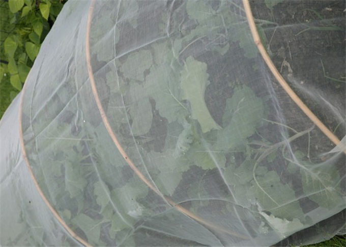 Парник ловя сетью анти- сеть насекомого мухы для огородов