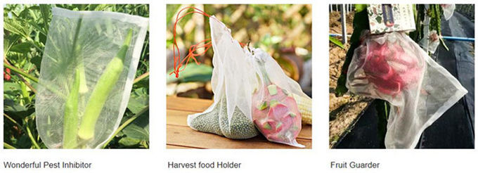 Плод Дравстинг вкладчика плода ПЭ защищает насекомое сумок цветок сумки плетения сетки защищает