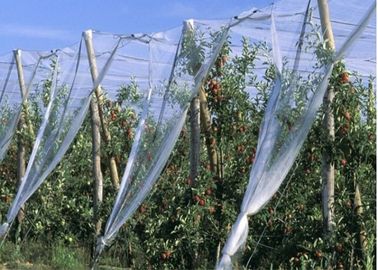 Китай Плетение сетки насекомого нити ХДПЭ одиночное для подгонянного размера баков питомника поставщик