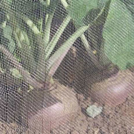 Китай Искривление связало сетку предохранения от насекомого 1.3мм, жизнь экрана 3-10 Еарес сетки от комаров поставщик