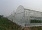 250 ХДПЭ насекомого метров плетения 100% сетки для Вегетабле парника аграрного поставщик