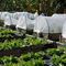25 сетка плетения исключения насекомого парника сада сетки 45g белая прозрачная покрашенная пластиковая для protectio садоводства поставщик